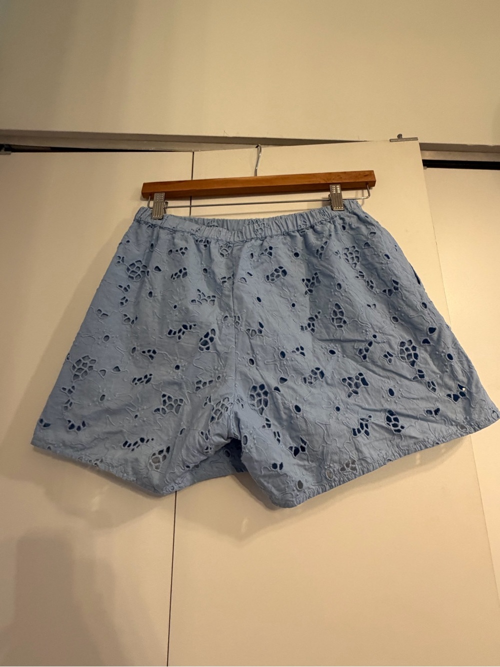 Everlane Light Blue Eyelet Shorts